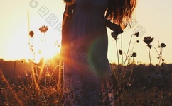 午夜dj免费观看大全